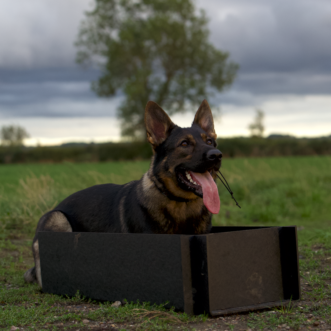 Position Box
