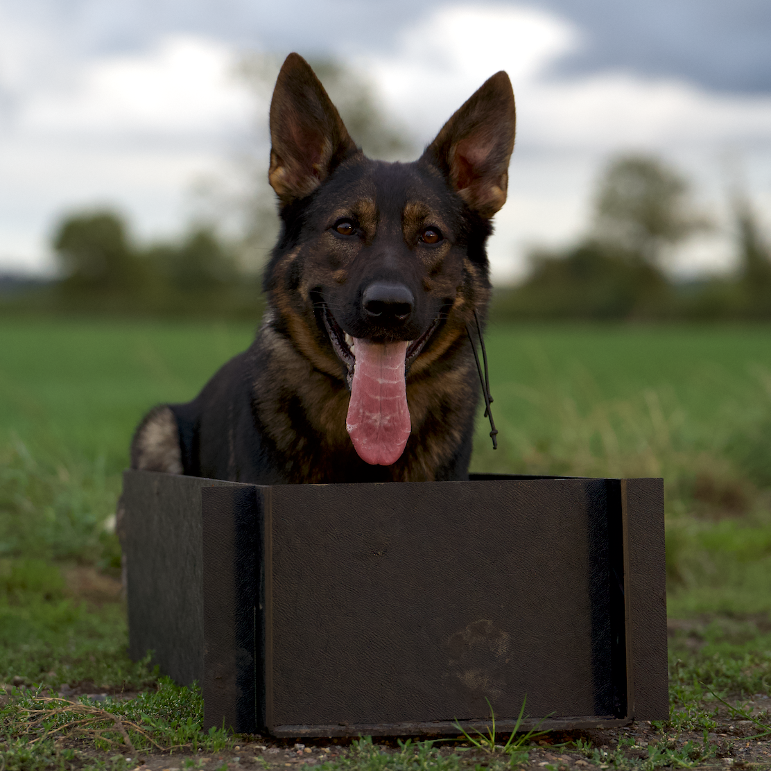 Position Box