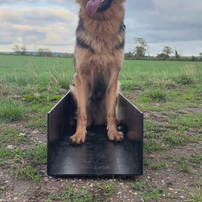 Position Box